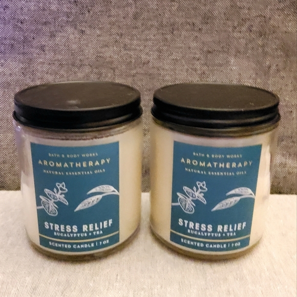 Bath & Body Works Accents 2 Stress Relief Eucalyptus Tea Single